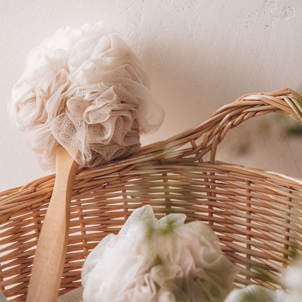 크라멜 그라데이션 긴 너도밤나무 손잡이 목욕 꽃 시리즈