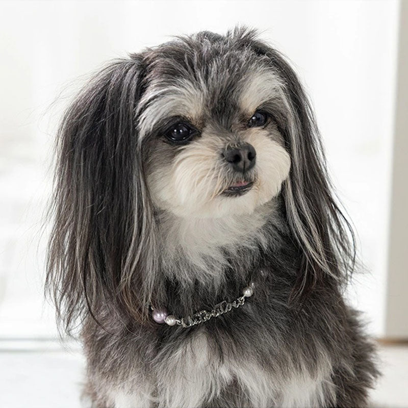 🎌新品上架【梨花娘】💕日本品牌UN TOU TOU | 極致輕奢珍珠寵物頸鍊(2色)