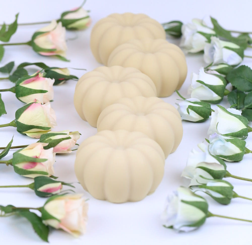 💜新品上架【梨花娘】🫧韓國PUMBLEPET 🌿手工天然精油南瓜造型土耳其綠舒敏調理洗髮清潔皂(犬貓適用)