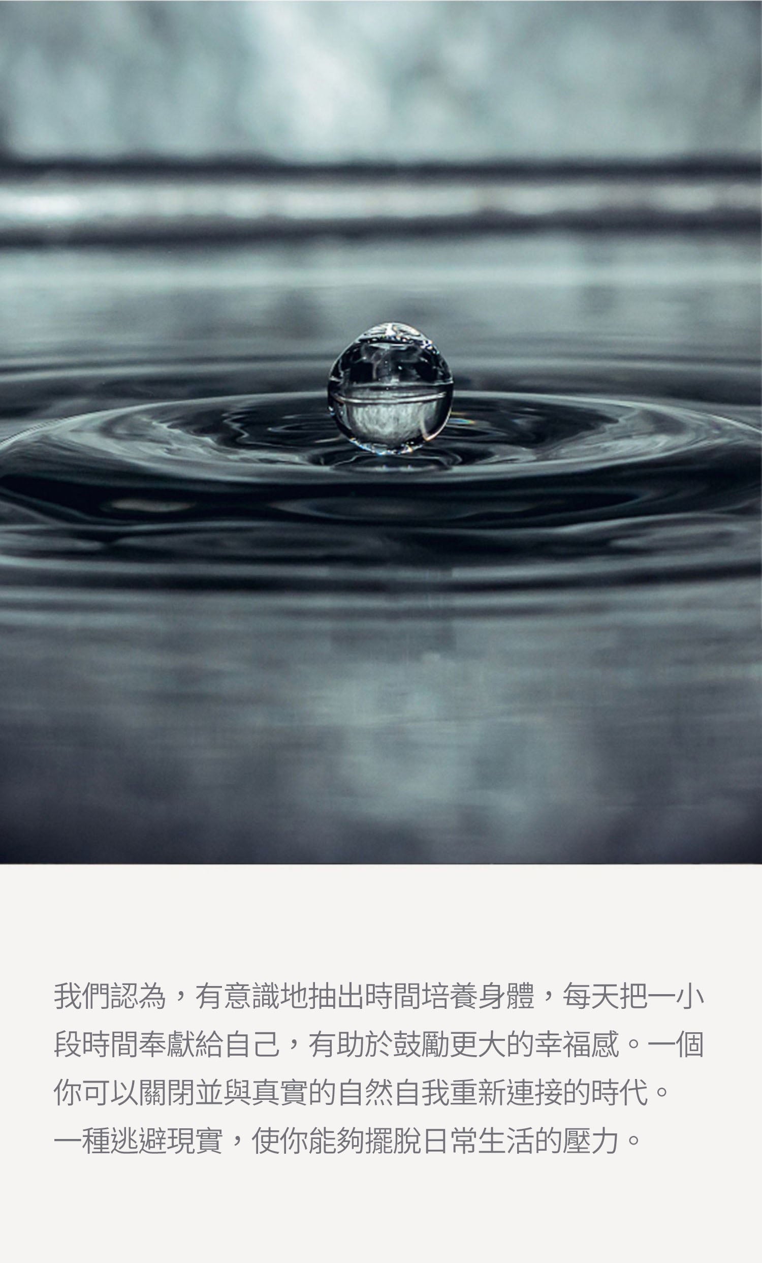 크라멜 그라데이션 긴 너도밤나무 손잡이 목욕 꽃 시리즈