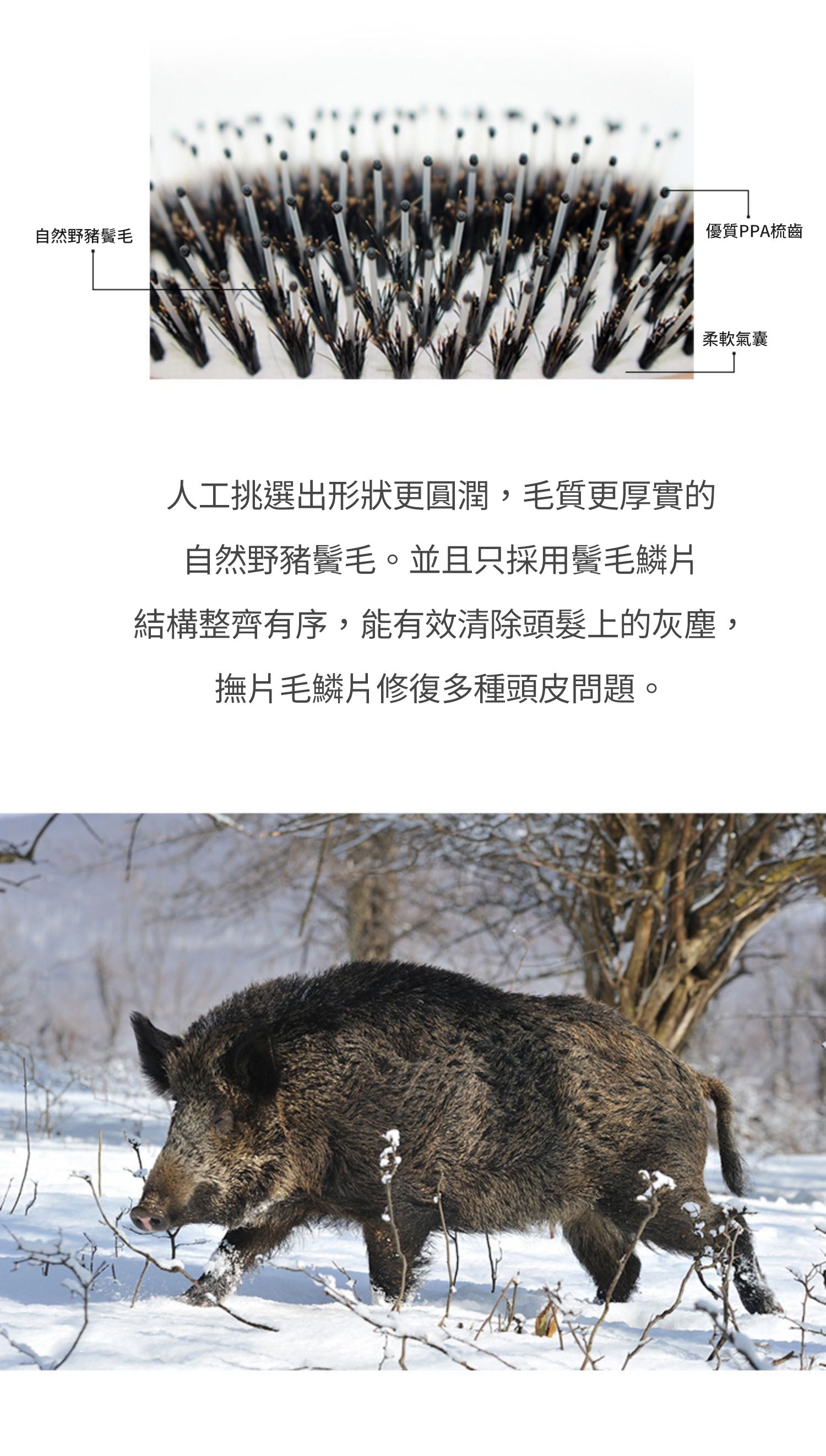 크라멜 너도밤나무 헤어 케어 강모 빗