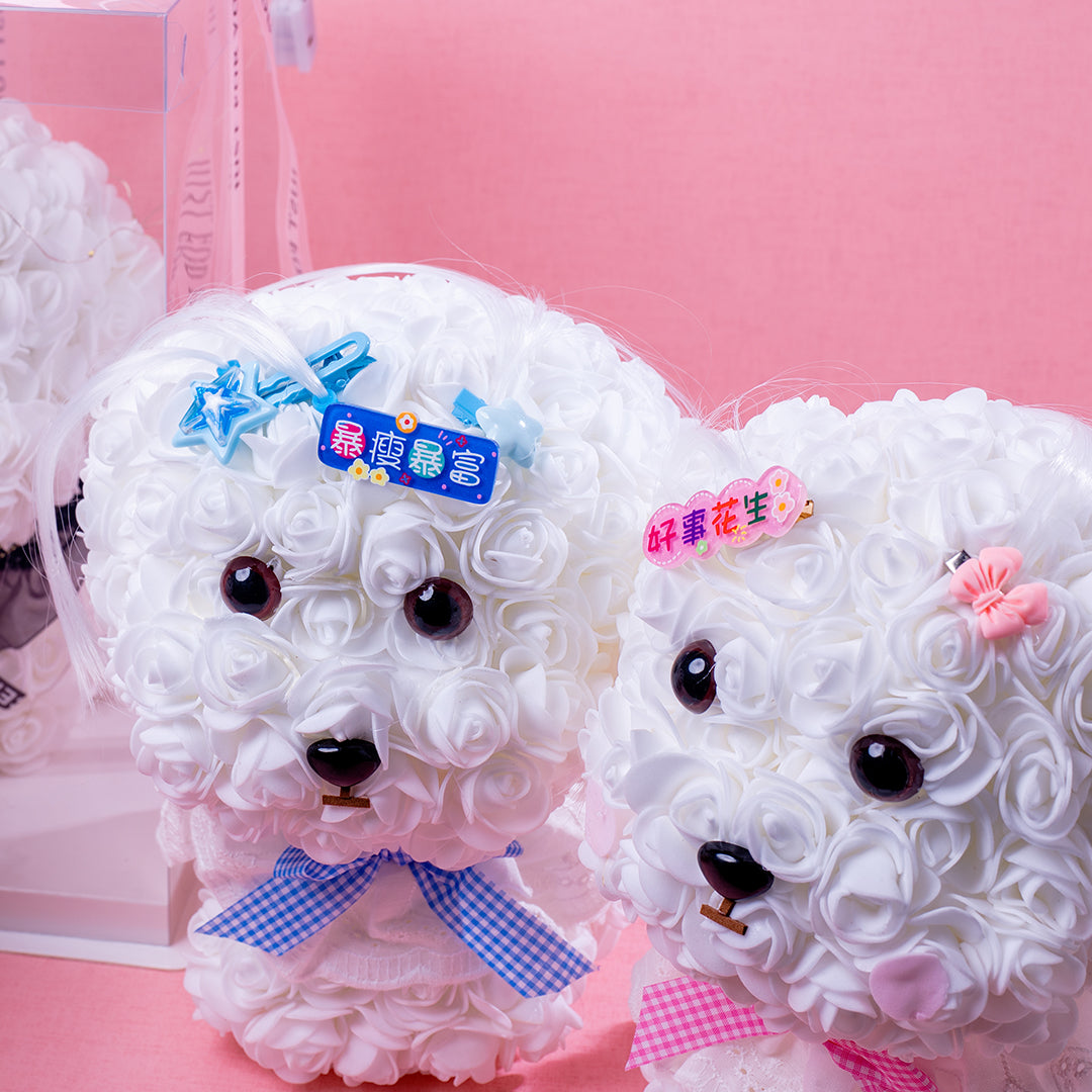 🆕新品上架【梨花瑪雅】🐩🐩爆瘦爆富 好事花生😍手作永生花馬爾濟斯小狗花束暖燈緞帶透明禮盒 閨蜜禮物,情人禮物(製作期約1周)