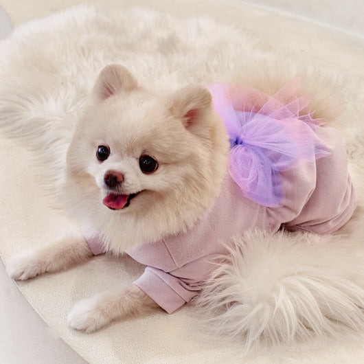 韓國新品上架【梨花娘】🐾BAILEY 🐶韓系甜美夢幻澎澎大蝴蝶結別針(2色)