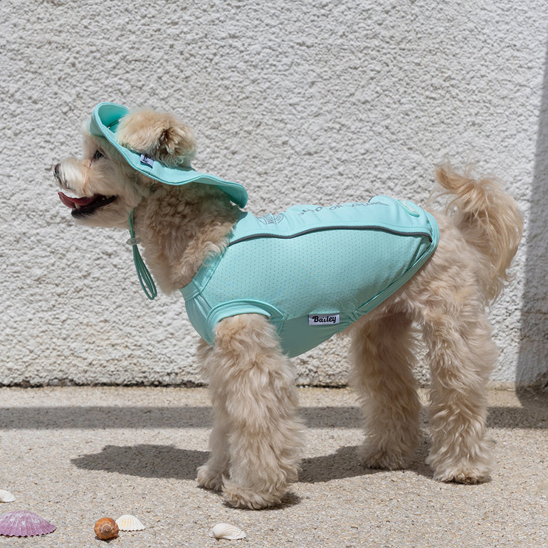 韓國BAILEY💖【梨花娘】夏日必備菌菌掰掰輕薄快乾透氣水陸兩用寵物衣(帽子另購3色)