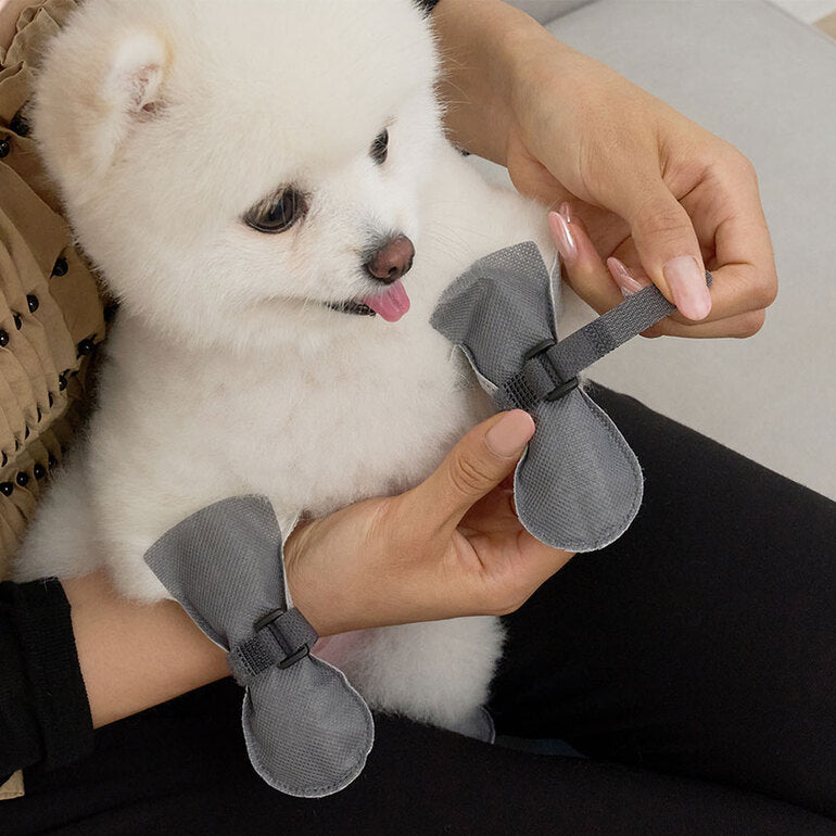 韓國新品上架【梨花娘】🐾BAILEY 🐶簡約輕盈防水不掉鞋防護寵物健走鞋(2色)