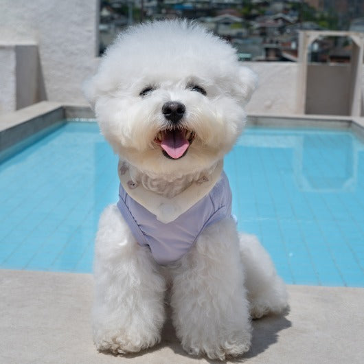 韓國BAILEY💖【梨花娘】夏日必備菌菌掰掰輕薄快乾透氣水陸兩用寵物衣(帽子可另購3色)