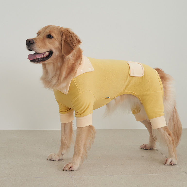 韓國新品上架【梨花娘】🐾BAILEY 🐶秋冬新品 領口釦環設計一件式保暖細絨毛衣(3色)