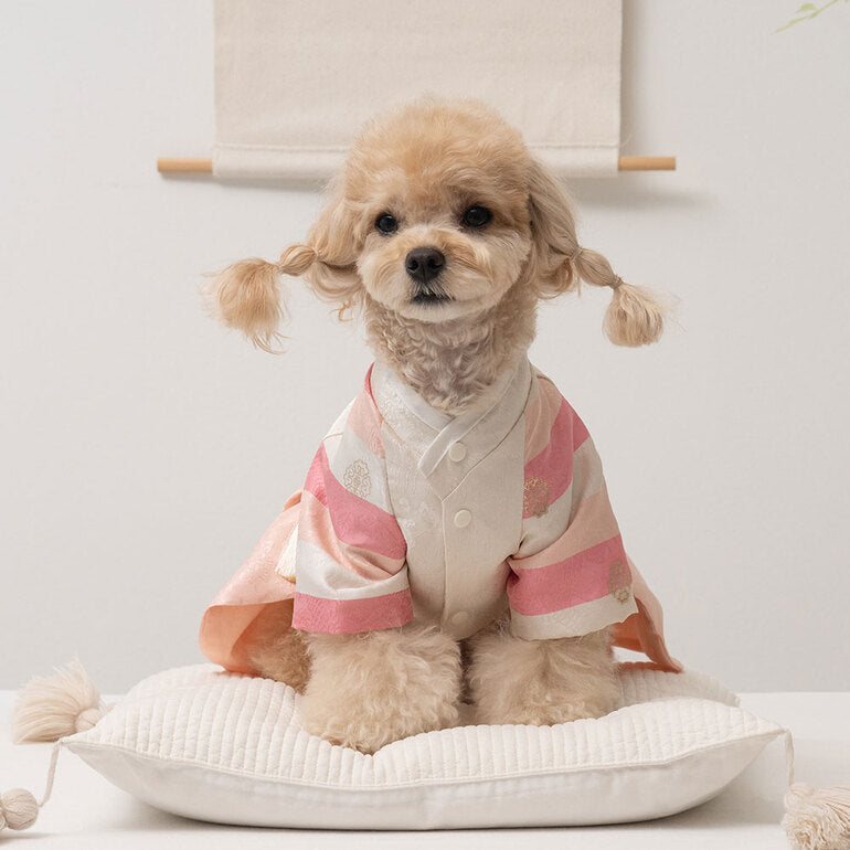 韓國BAILEY💖寵物品牌皇室韓服寵物刺繡衣服(現貨+預購)