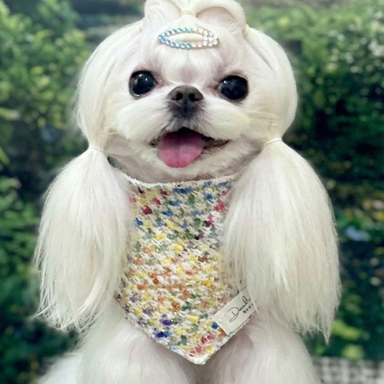 💜新品上架【梨花娘】🫧韓國PUMBLEPET GD造型雙面可用犬用頭巾小香風毛呢貓咪圍脖冬季披肩(7款)