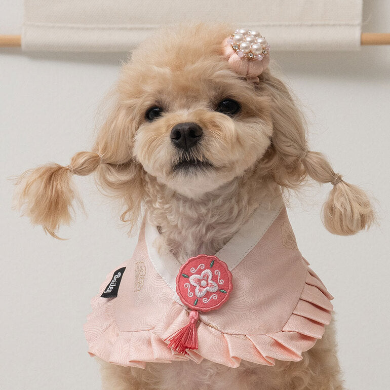 韓國BAILEY💖寵物品牌精緻韓服領巾(現貨+預購)