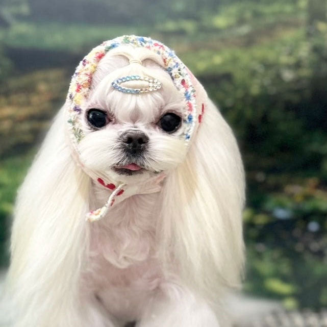 💜新品上架【梨花娘】🫧韓國PUMBLEPET GD造型雙面可用犬用頭巾小香風毛呢貓咪圍脖冬季披肩(7款)