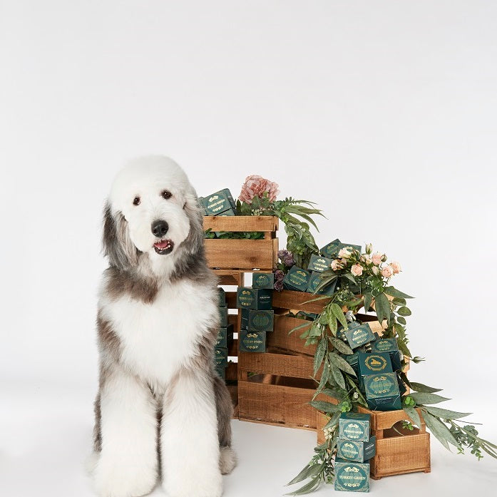 💜新品上架【梨花娘】🫧韓國PUMBLEPET 🌿手工天然精油南瓜造型土耳其綠舒敏調理洗髮清潔皂(犬貓適用)