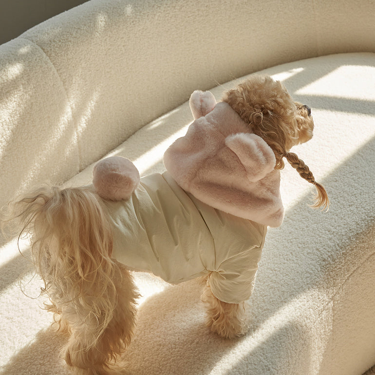 新品上架【梨花娘】🐾BAILEY 🐶秋冬新品 小熊連帽毛球防潑水鋪棉寵物外套(2色) 寵愛禮物