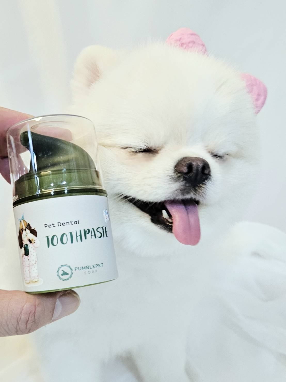 💜新品上架【梨花娘總代理】🫧韓國獸醫推薦PUMBLEPET 🌿市售唯一🙌🏻薄荷清新口腔管理寵物潔齒食品級螺旋藻真空瓶牙膏30g(犬貓適用)