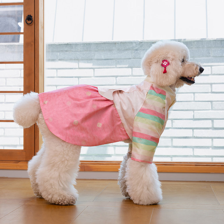 韓國新品上架【梨花娘】🐾BAILEY 🐶秋冬新品 皇室公主刺繡百褶裙寵物韓服(2色)