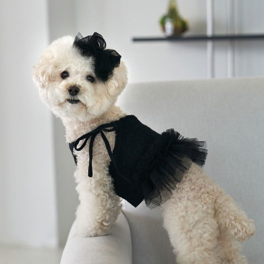 韓國新品上架【梨花娘】🐾BAILEY 🐶秋冬新品 針織拼接蕾絲氣質優雅花朵芭蕾舞裙寵物服飾(2色)