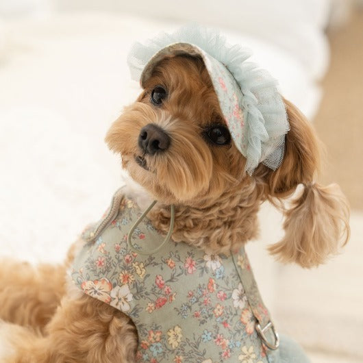 韓國新品上架【梨花娘】🐾BAILEY 🐶秋冬新品 溫柔蕾絲荷葉邊花朵復古可愛寵物服飾(2色)