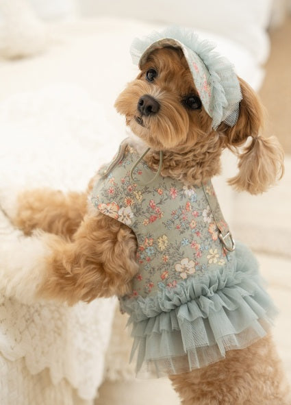 韓國新品上架【梨花娘】🐾BAILEY 🐶秋冬新品 溫柔蕾絲荷葉邊花朵復古可愛寵物服飾(2色)