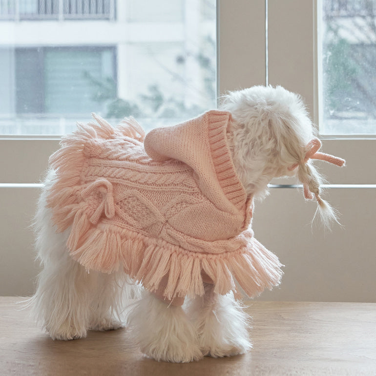 韓國【梨花娘】🐾BAILEY 🐶秋冬新品 針織毛線斗篷連帽蝴蝶結保暖寵物毛衣(2色)