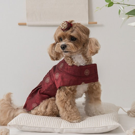 韓國新品上架【梨花娘】🐾BAILEY 🐶秋冬新品 尊貴刺繡皇室龍袍寵物韓服(2色)