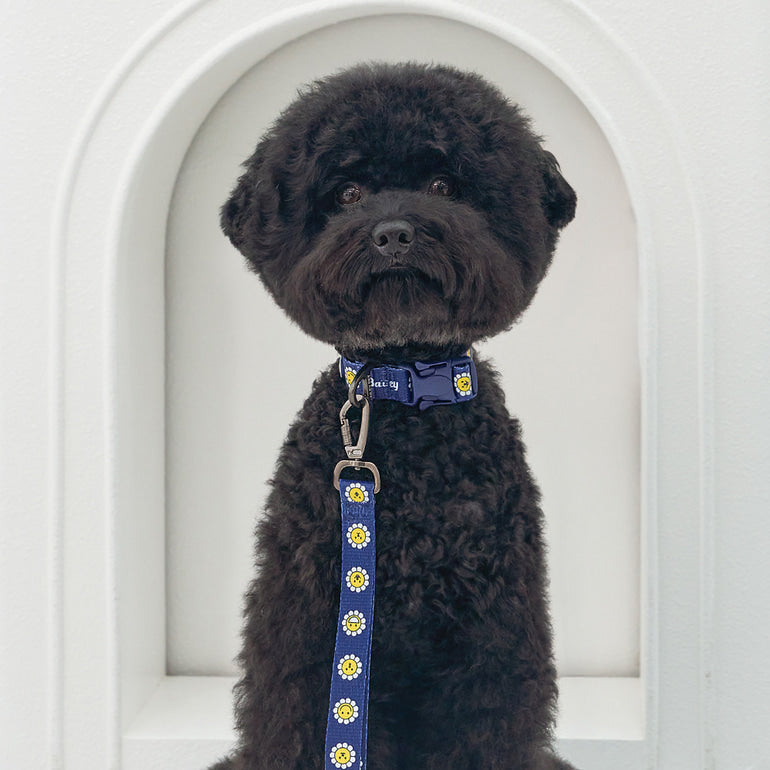 韓國新品上架【梨花娘】🐾BAILEY 🐶秋冬新品 飽合亮色花朵微笑簡易款寵物項圈(4色)
