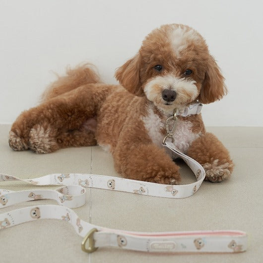 韓國新品上架【梨花娘】🐾BAILEY 🐶秋冬新品 馬卡龍柔軟色系小熊圖案寵物牽繩(3色)