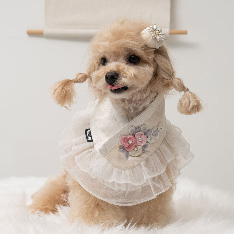 【梨花娘】🐶 韓國BAILEY💖寵物品牌精緻婚紗夢幻領巾(現貨+預購)