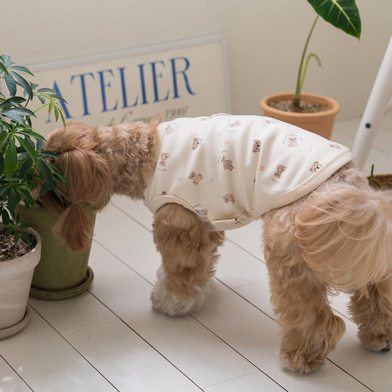 韓國新品上架【梨花娘】🐾BAILEY 🐶秋冬新品 萌系滿版小熊舒適細菌掰掰無袖寵物衣(3色)