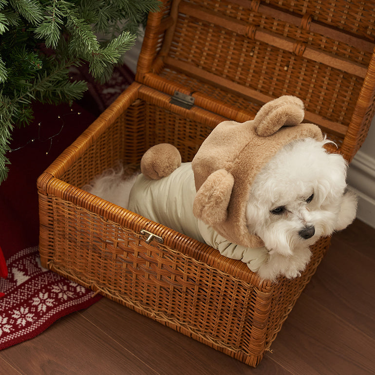 新品上架【梨花娘】🐾BAILEY 🐶秋冬新品 小熊連帽毛球防潑水鋪棉寵物外套(2色) 寵愛禮物