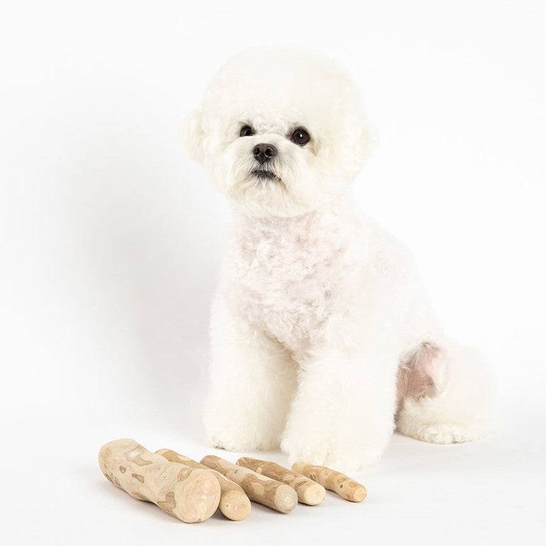 韓國新品上架【梨花娘總代理】🐾BAILEY 🐶Starmons 咖啡樹天然耐咬潔牙棒(一盒兩入)