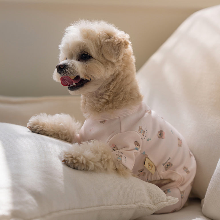 韓國新品上架【梨花娘】🐾BAILEY 🐶秋冬新品 滿版小熊圖案舒適寵物連身衣(3色)