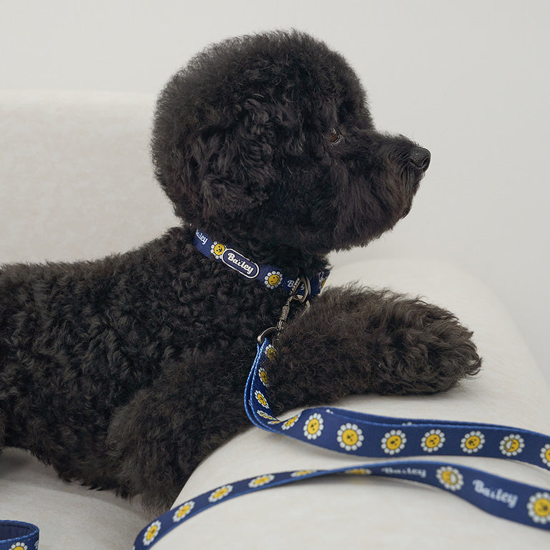 韓國新品上架【梨花娘】🐾BAILEY 🐶秋冬新品 飽合亮色花朵微笑簡易款寵物項圈(4色)