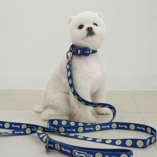 韓國新品上架【梨花娘】🐾BAILEY 🐶秋冬新品 飽合亮色花朵微笑寵物牽繩(4色)