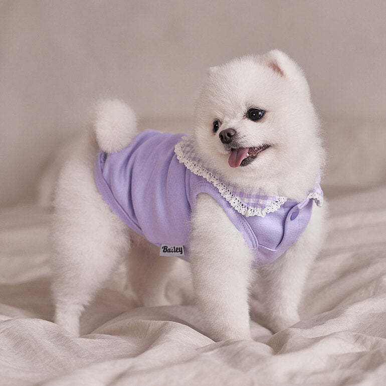 韓國新品上架【梨花娘】🐾BAILEY 🐶秋冬新品 韓系溫小公主格子領蕾絲邊刺繡寵物服飾(3色)