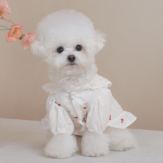 Korean BAILEY Pet Products Exquisite Cherry Dress (In Stock + Pre-order)