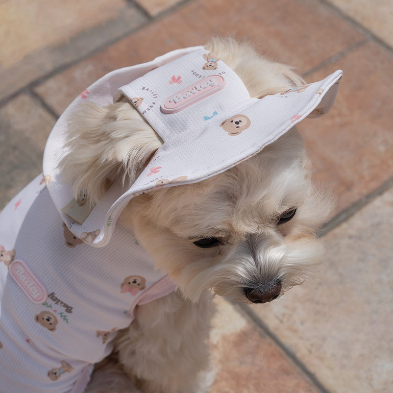 韓國新品上架【梨花娘】🐾BAILEY 🐶秋冬新品 可愛造型遮陽透氣滿版小熊可調節寵物帽(3色)