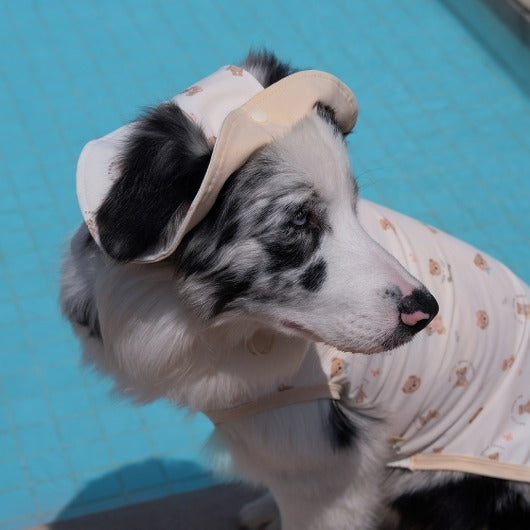 韓國新品上架【梨花娘】🐾BAILEY 🐶秋冬新品 可愛造型遮陽透氣滿版小熊可調節寵物帽(3色)