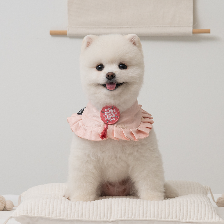 韓國BAILEY💖寵物品牌精緻韓服領巾(現貨+預購)