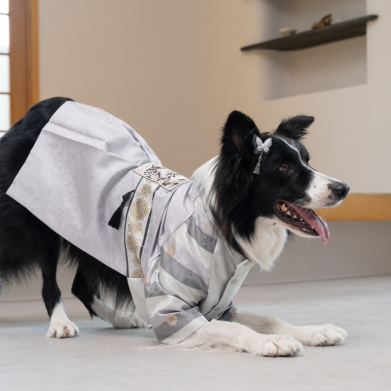 韓國新品上架【梨花娘】🐾BAILEY 🐶秋冬新品 皇室尊貴刺繡流蘇寵物韓服(4色)