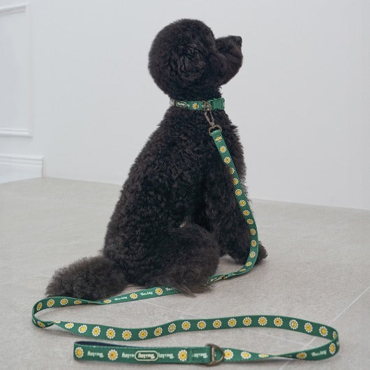 韓國新品上架【梨花娘】🐾BAILEY 🐶秋冬新品 飽合亮色花朵微笑寵物牽繩(4色)