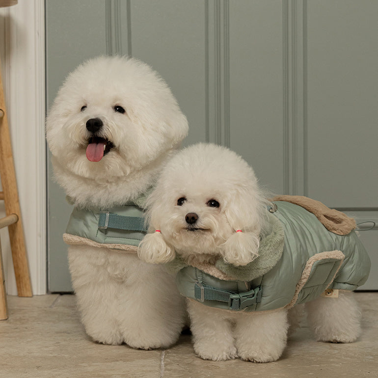 🔥新品上架【梨花娘】🐈⬛BAILEY 【梨花娘】泰迪熊口袋圖案防風鋪棉寵物服飾(4色) 聖誕禮物