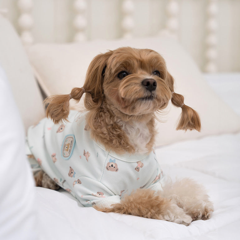 韓國新品上架【梨花娘】🐾BAILEY 🐶秋冬新品 滿版小熊圖案舒適寵物連身衣(3色)