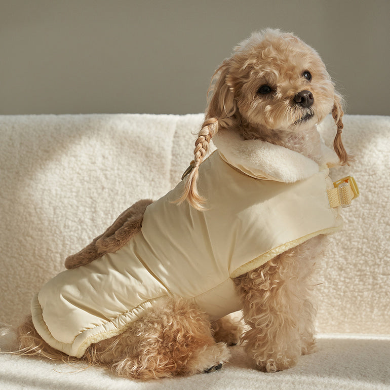 🔥新品上架【梨花娘】🐈⬛BAILEY 【梨花娘】泰迪熊口袋圖案防風鋪棉寵物服飾(4色) 聖誕禮物