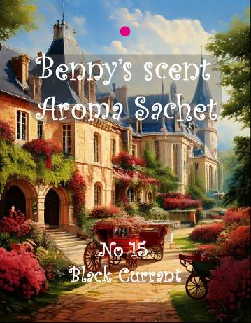 💜新品上架【梨花娘】🫧韓國PUMBLEPET天然植萃🌿韓國專業國際調香師衣櫥車用臥室歐洲油畫藝術卡+香氛袋一盒2入(20g)