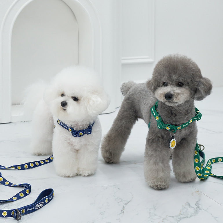 韓國新品上架【梨花娘】🐾BAILEY 🐶秋冬新品 飽合亮色花朵微笑寵物牽繩(4色)