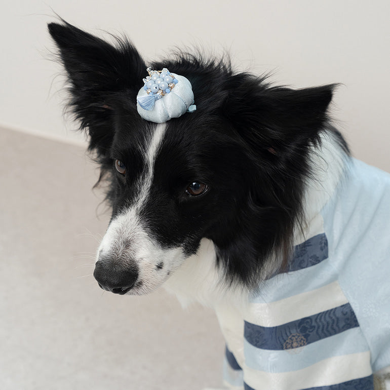 韓國新品上架【梨花娘】🐾BAILEY 🐶韓系華麗宮庭風珍珠流蘇寵物髮夾(9色)