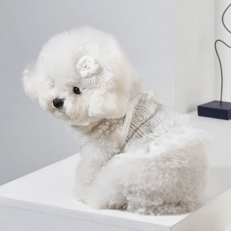 韓國新品上架【梨花娘】🐾BAILEY 🐶秋冬新品 針織拼接蕾絲氣質優雅花朵芭蕾舞裙寵物服飾(2色)