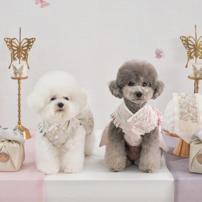 新品上架【梨花娘】🐾韓國BAILEY 🐶秋冬新品 🧨新年編織結寶貝寵物掛福袋香包韓服(2色)