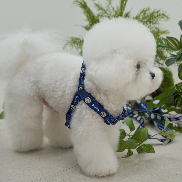 韓國新品上架【梨花娘】🐾BAILEY 🐶秋冬新品 飽合亮色花朵微笑寵物項圈(4色)