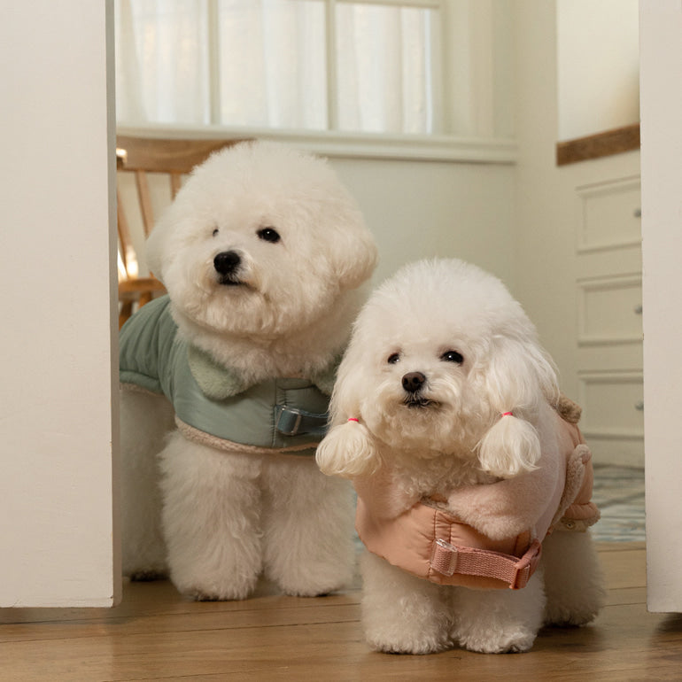 🔥新品上架【梨花娘】🐈⬛BAILEY 【梨花娘】泰迪熊口袋圖案防風鋪棉寵物服飾(4色) 聖誕禮物